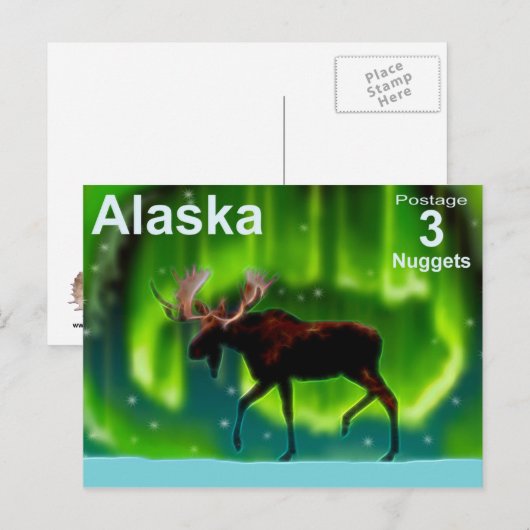 Moose Briefkaart (Voorkant / Achterkant)