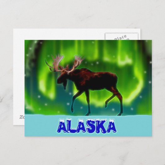 Moose Briefkaart (Voorkant / Achterkant)