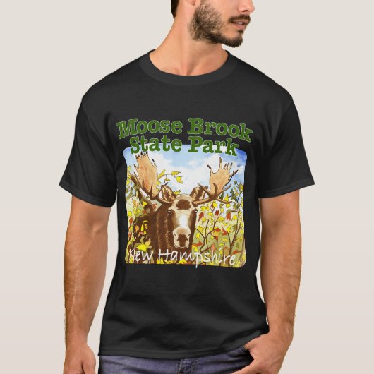 Moose Brook State Park, New Hampshire T-shirt (Voorkant)