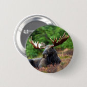 Moose Button (Voorkant /achterkant)