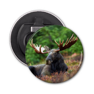 Moose Button Flesopener