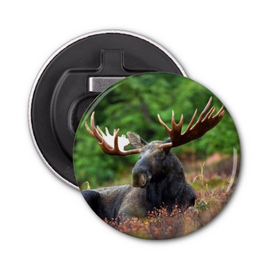 Moose Button Flesopener (Voorkant)