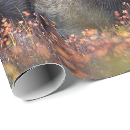 Moose Cadeaupapier (Rol Hoek)