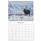 Moose Calendar - Groot formaat Kalender (Jan 2027)