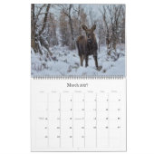Moose Calendar - Groot formaat Kalender (Mar 2027)