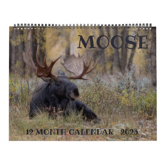 Moose Calendar - Groot formaat Kalender (Hoes)