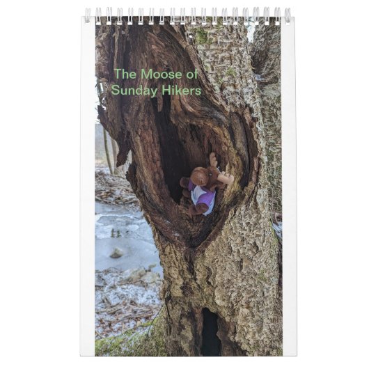Moose Calendar Kalender (Hoes)