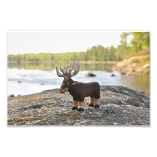 Moose Camping Photo Print Foto Afdruk