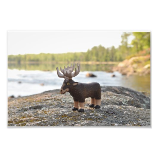 Moose Camping Photo Print Foto Afdruk (Voorkant)