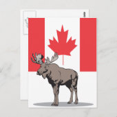 Moose Canada Briefkaart (Voorkant / Achterkant)