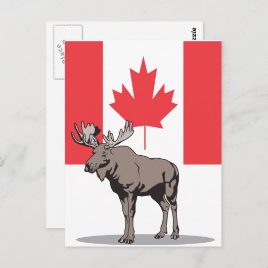 Moose Canada Briefkaart (Voorkant / Achterkant)
