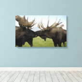 Moose Canvas Afdruk (Insitu (Houten vloer))