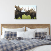 Moose Canvas Afdruk (Insitu (Slaapkamer))