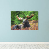 Moose Canvas Afdruk (Insitu (Houten vloer))
