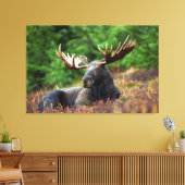 Moose Canvas Afdruk (Insitu (Woonkamer))