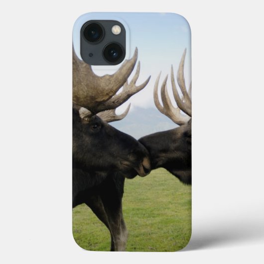 Moose Case-Mate iPhone Case (Achterkant)