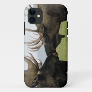 Moose iPhone 11 Hoesje