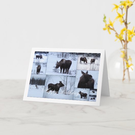 Moose Collage; Happy Birthday Kaart (Gele Bloem)