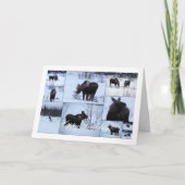 Moose Collage; Happy Birthday Kaart (Voorkant)