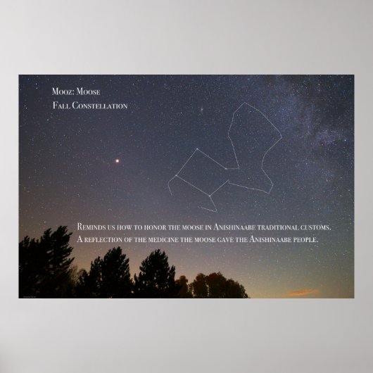 Moose Constellation Ojibwe Poster (Voorkant)