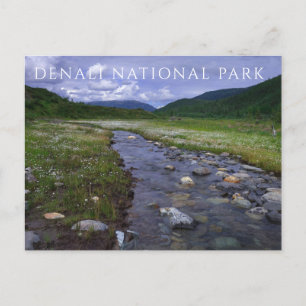 Moose Creek, bergen, Denali National Park Briefkaart