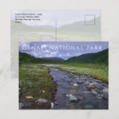 Moose Creek, bergen, Denali National Park Briefkaart (Voorkant / Achterkant)