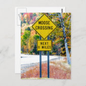Moose Crossing Briefkaart (Voorkant / Achterkant)