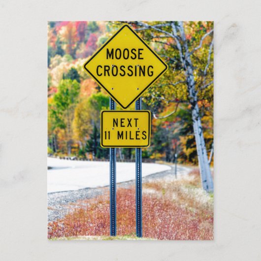 Moose Crossing Briefkaart (Voorkant)