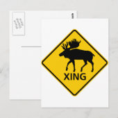 Moose Crossing Highway Sign Briefkaart (Voorkant / Achterkant)
