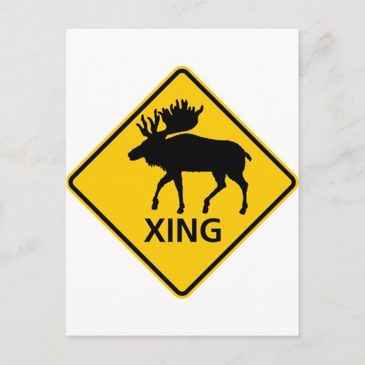 Moose Crossing Highway Sign Briefkaart (Voorkant)