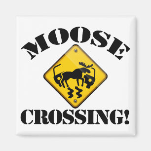 Moose Crossing Sign Magneet