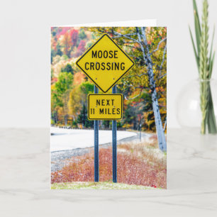Moose Crossing Wenskaart Kaart