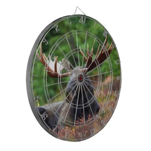 Moose Dartbord (Voorkant Links)