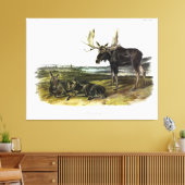 Moose Deer (Moose - Alces alces) van Audubon Canvas Afdruk (Insitu (Woonkamer))