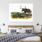 Moose Deer (Moose - Alces alces) van Audubon Canvas Afdruk (Insitu (Slaapkamer))