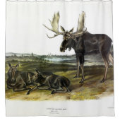 Moose Deer (Moose - Alces alces) van Audubon Douchegordijn (Voorkant)
