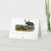 Moose Deer (Moose - Alces alces) van Audubon Kaart (Achterkant)