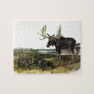 Moose Deer (Moose - Alces alces) van Audubon Legpuzzel