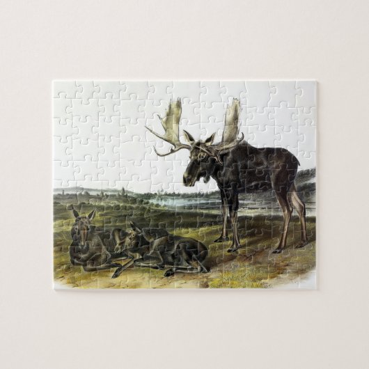 Moose Deer (Moose - Alces alces) van Audubon Legpuzzel (Horizontaal)
