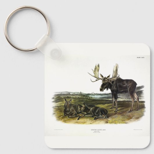 Moose Deer (Moose - Alces alces) van Audubon Sleutelhanger (Voorkant)