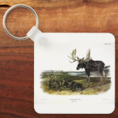 Moose Deer (Moose - Alces alces) van Audubon Sleutelhanger (Voorkant)