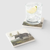 Moose Deer (Moose - Alces alces) van Audubon Stenen Onderzetter (Zijkant)