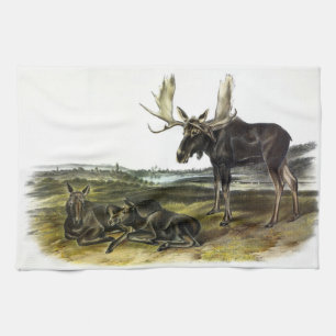 Moose Deer (Moose - Alces alces) van Audubon Theedoek