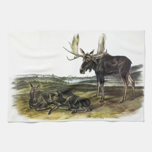Moose Deer (Moose - Alces alces) van Audubon Theedoek (Horizontaal)
