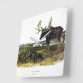 Moose Deer (Moose - Alces alces) van Audubon Vierkante Klok (Hoek)