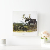 Moose Deer (Moose - Alces alces) van Audubon Vierkante Klok (Huis)