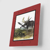 Moose Deer (Moose - Alces alces) van Audubon Vierkante Klok (Hoek)