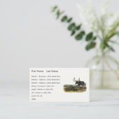 Moose Deer (Moose - Alces alces) van Audubon Visitekaartje (Staand voorkant)