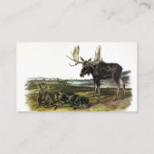 Moose Deer (Moose - Alces alces) van Audubon Visitekaartje (Achterkant)