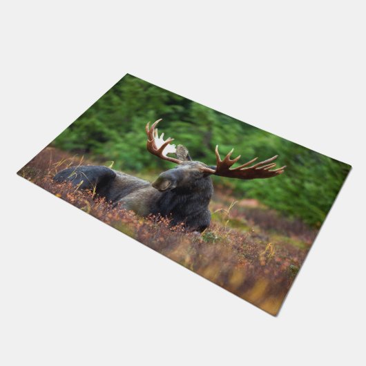 Moose Deurmat (Schuin)